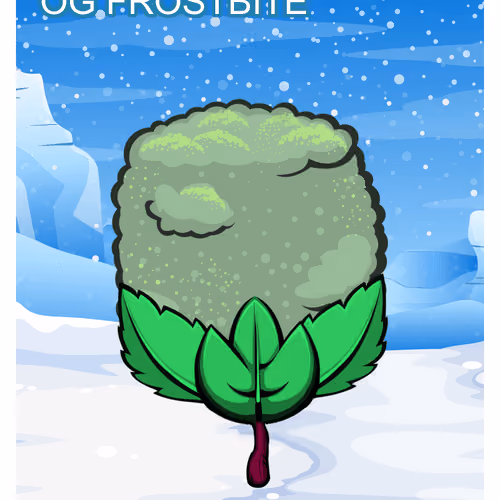 OG Frostbite