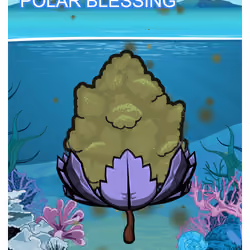 Polar Blessing