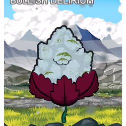 Bullish Delirium