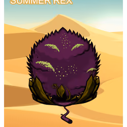 Summer Rex