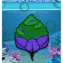 Humper's Frostbite