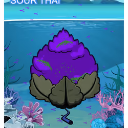 Sour Thai