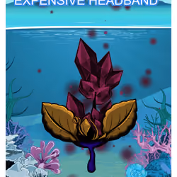 Expensive Headband