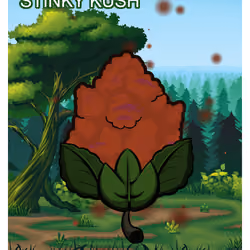 Stinky Kush