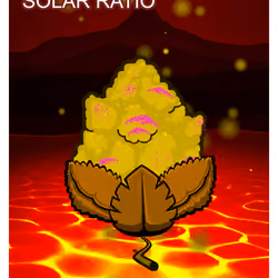 Solar Ratio