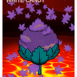 White Candy