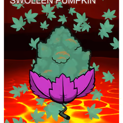 Swollen Pumpkin
