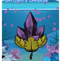 Satoshi's carbon