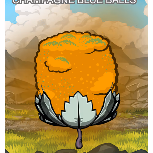 Champagne Blue Balls