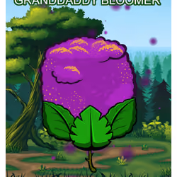 Granddaddy Bloomer
