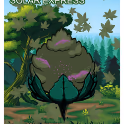 Solar Express
