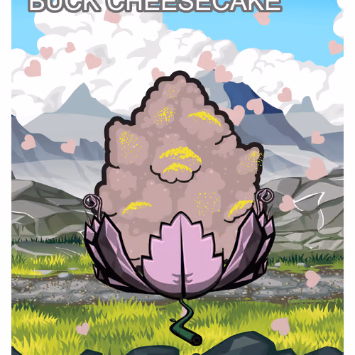 Buck Cheesecake