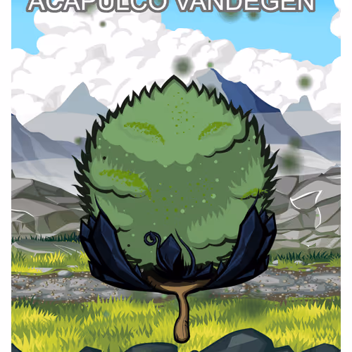 Acapulco vanDegen