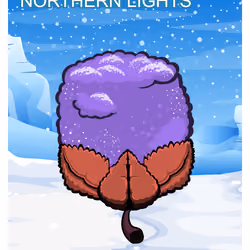 Northern Lights