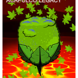 Acapulco Legacy