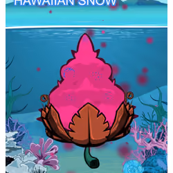 Hawaiian snow