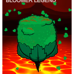 Bloomer Legend