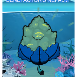 Benefactor's Nepalm