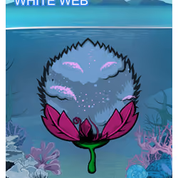 White Web