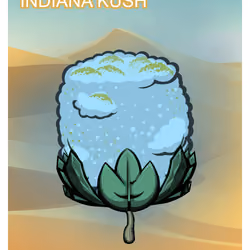 Indiana Kush