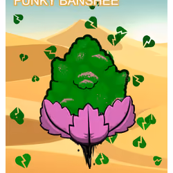 Funky Banshee