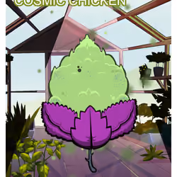 Cosmic Chicken
