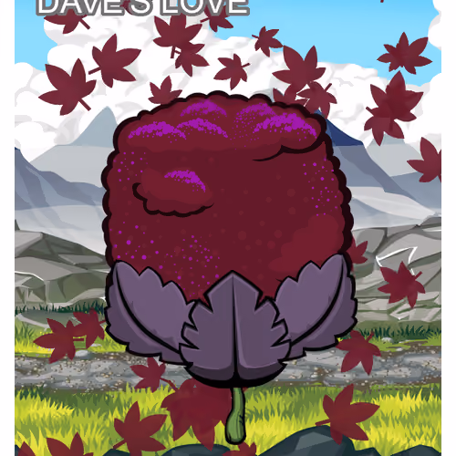 Dave's Love