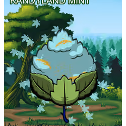 Kandyland Mint