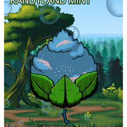 Kandyland Mint