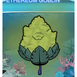 Ethereum Goblin