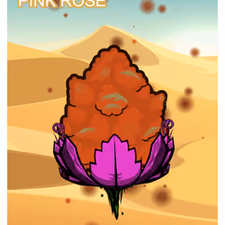 Pink Rose