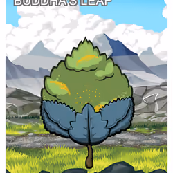 Buddha's Leaf