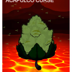 Acapulco Curse
