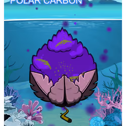 Polar carbon