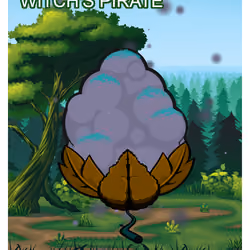 Witch's Pirate