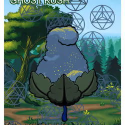 Ghost Kush
