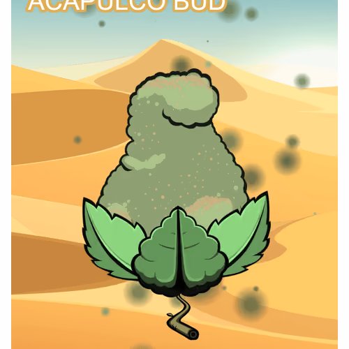 Acapulco Bud