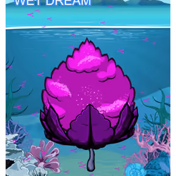 Wet Dream