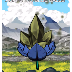 Acapulco Blue Balls