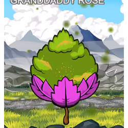 Granddaddy Rose