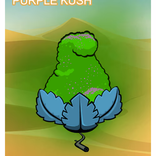 Purple Kush