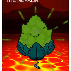 The Nepalm