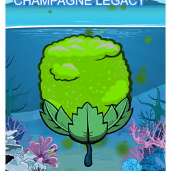 Champagne Legacy