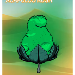 Acapulco Kush