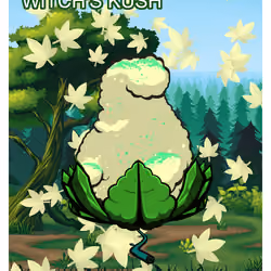 Witch's Kush