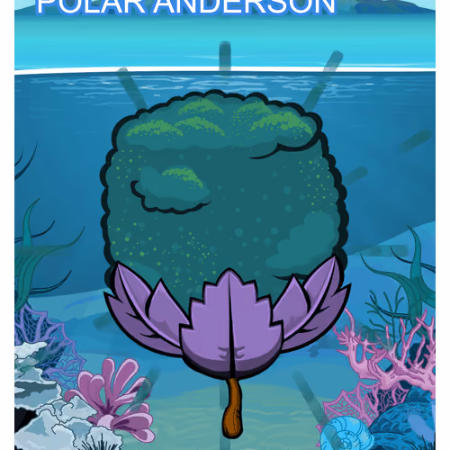 Polar Anderson
