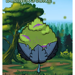 Doliner's Juice