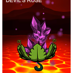 Devil's Rose