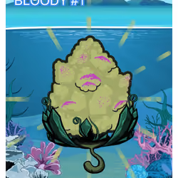 Bloody #1