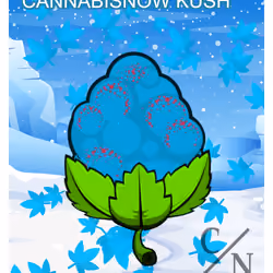 CannabisNow Kush